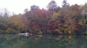 A tall row of trees turning fall colors lines a lake shore, with a dock visible to the left.