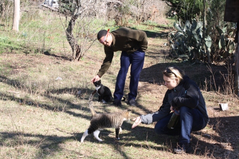 Adrian, a white human with a half-shaved head, and CJ, a tan-skinned man with short curly black hair, bend to pet a black cat and a grey cat on a farm path.