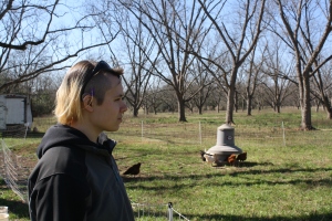 Adrian, a white human with a half-shaved head, looks off to the right while chickens gather around a feeder in the background in a pecan orchard.