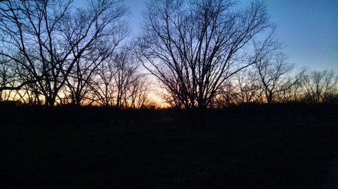 A sunset sihouettes bare trees and fields; the sky shines orange at the horizon fading to dark blue above.
